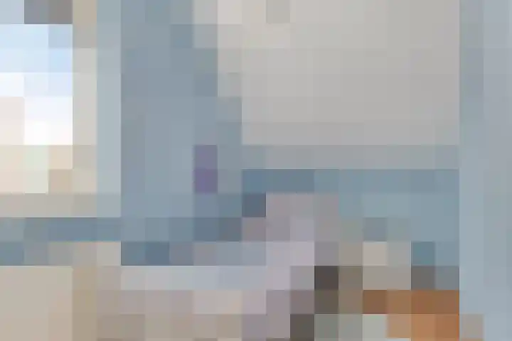 Korte Akkers 7 Koewacht thumbnail 15