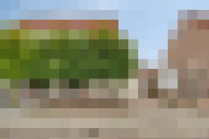Korte Akkers 7 Koewacht foto 2