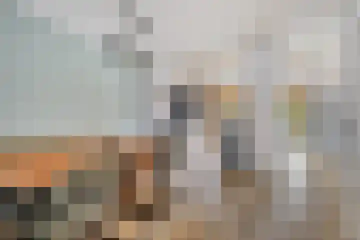 Korte Akkers 7 Koewacht thumbnail 5