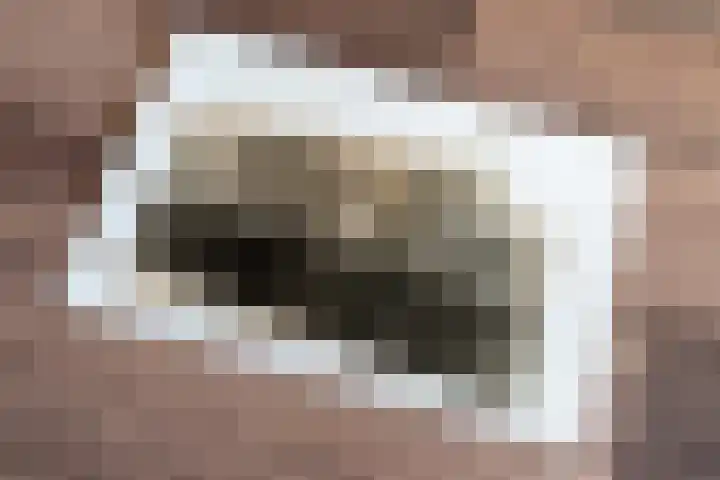 Korte Akkers 7 Koewacht thumbnail 9