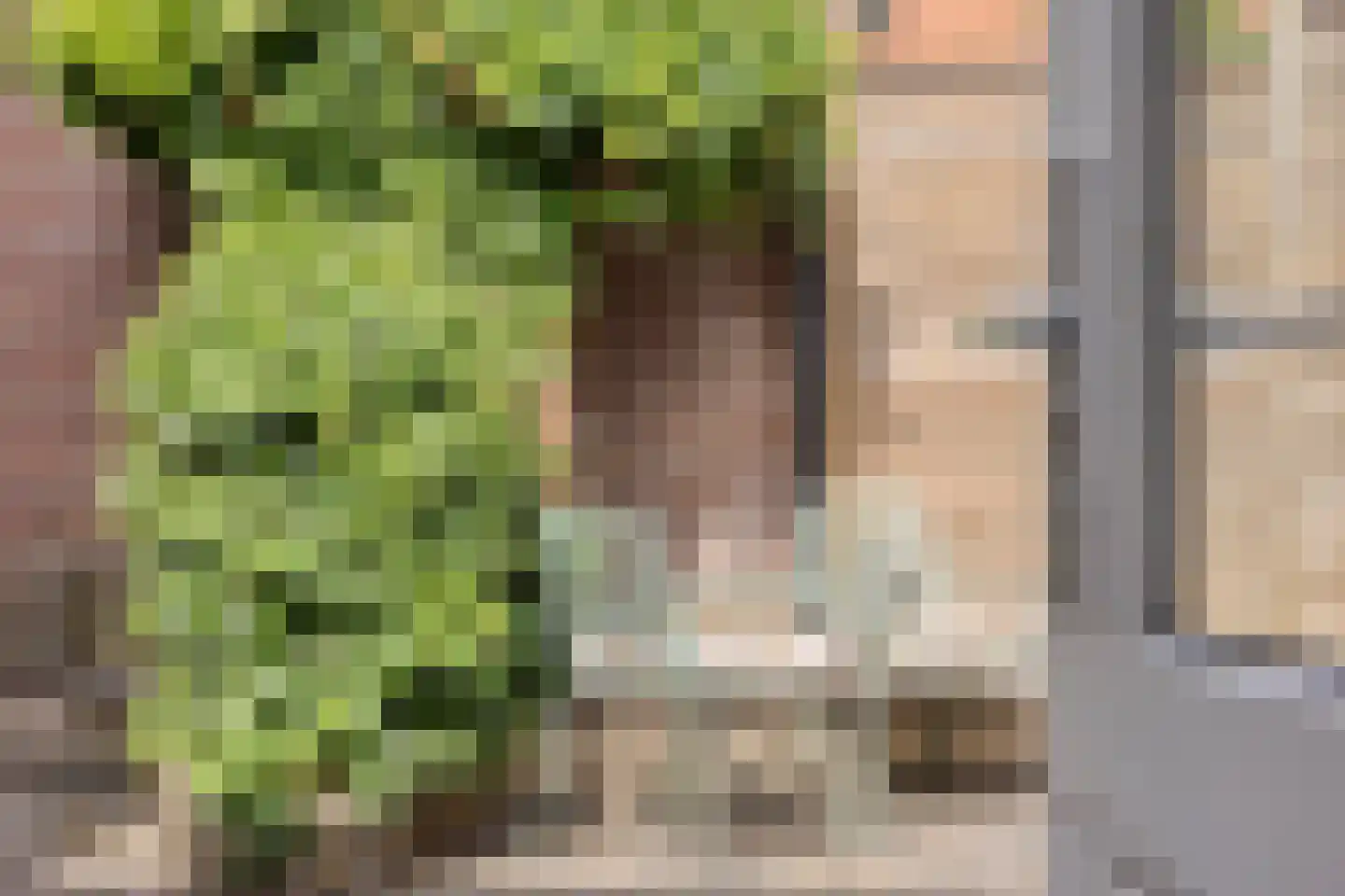 Korte Baanstraat 5 Lekkerkerk thumbnail 13