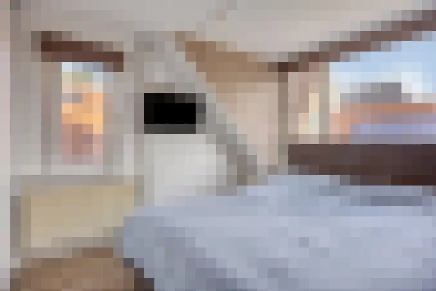 Korte Baanstraat 5 Lekkerkerk thumbnail 17