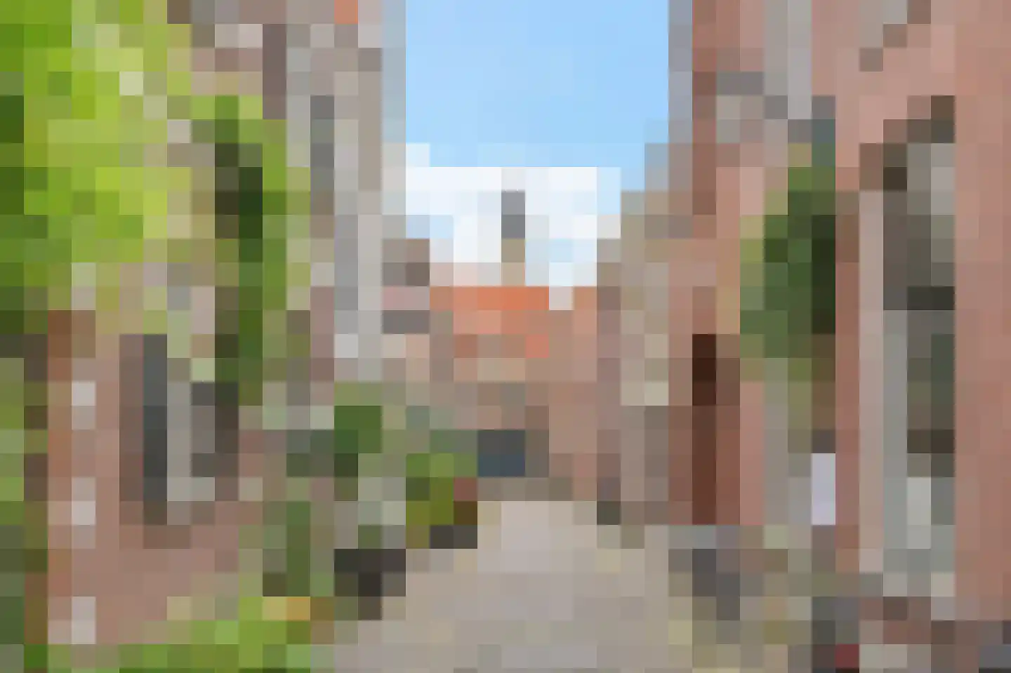 Korte Begijnestraat 1 Haarlem thumbnail 10