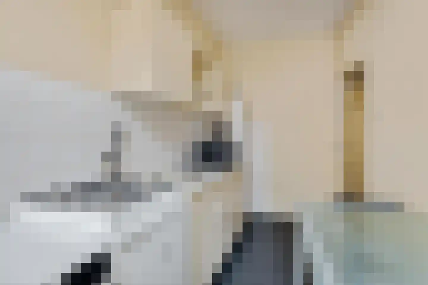Korte Begijnestraat 1 Haarlem thumbnail 4