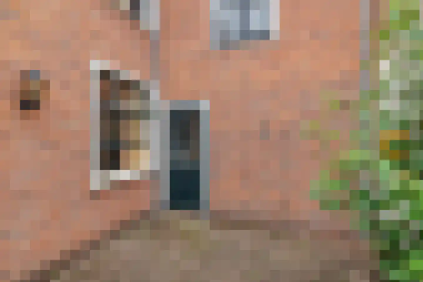 Korte Begijnestraat 1 Haarlem thumbnail 8