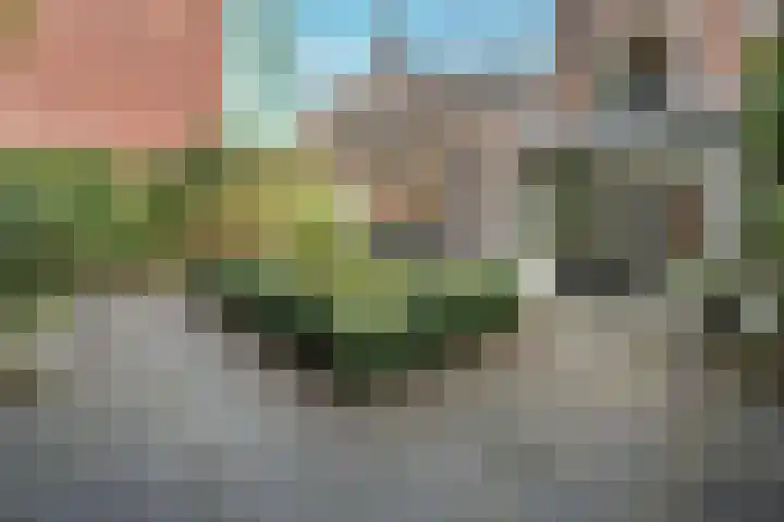 Korte Begijnestraat 14 Haarlem thumbnail 38