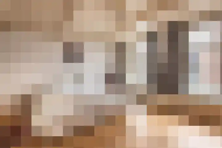 Korte Begijnestraat 14 Haarlem thumbnail 47