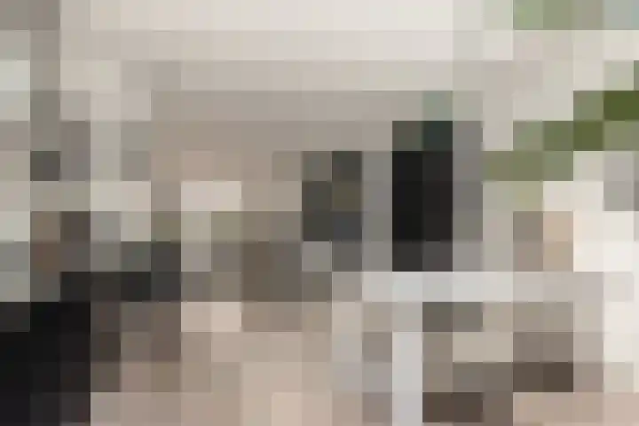 Korte Begijnestraat 23 ZW Haarlem thumbnail 22