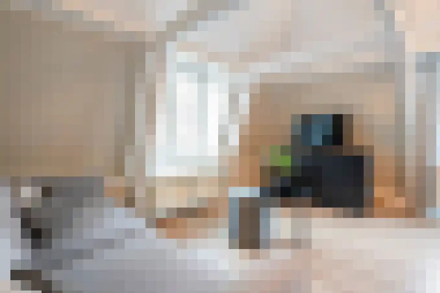 Korte Begijnestraat 7 B Haarlem thumbnail 9