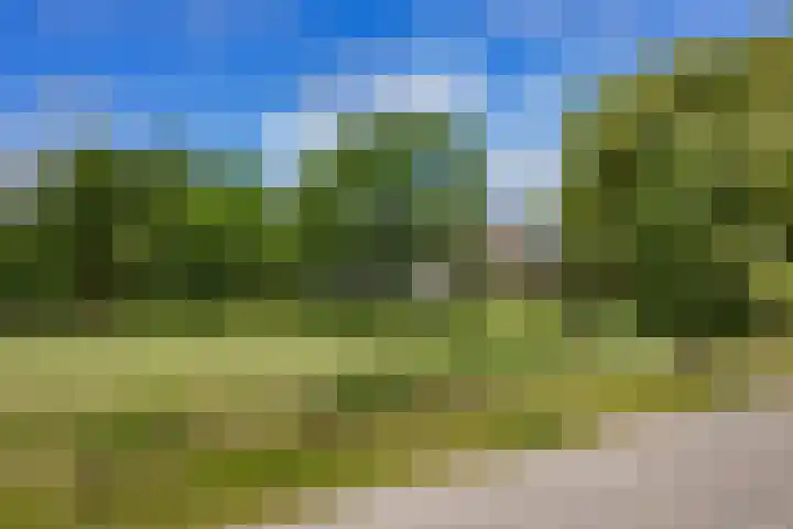 Korte Belkmerweg 23 't Zand thumbnail 19