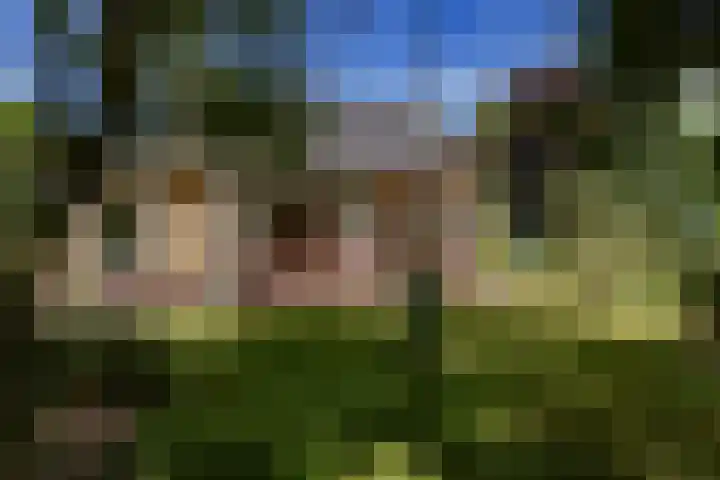 Korte Belkmerweg 23 't Zand foto 2
