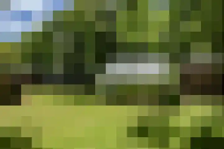 Korte Belkmerweg 23 't Zand thumbnail 20