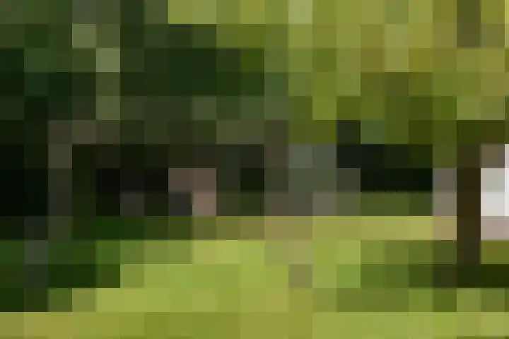 Korte Belkmerweg 23 't Zand thumbnail 22