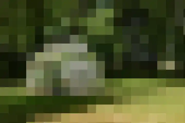 Korte Belkmerweg 23 't Zand thumbnail 23