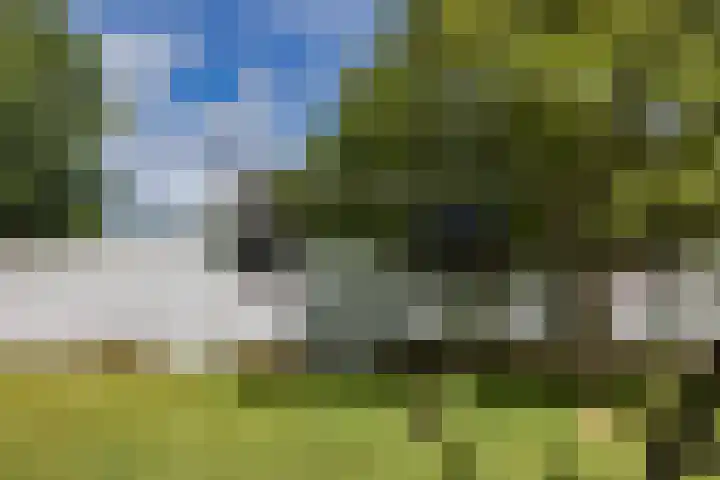 Korte Belkmerweg 23 't Zand thumbnail 24