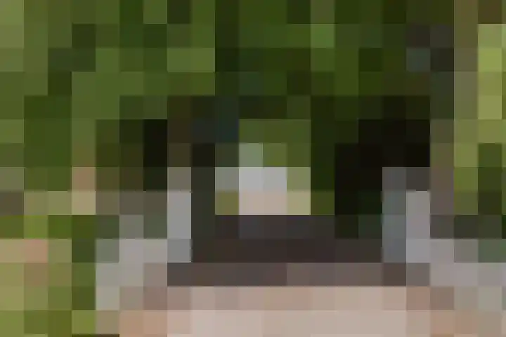 Korte Belkmerweg 23 't Zand thumbnail 26