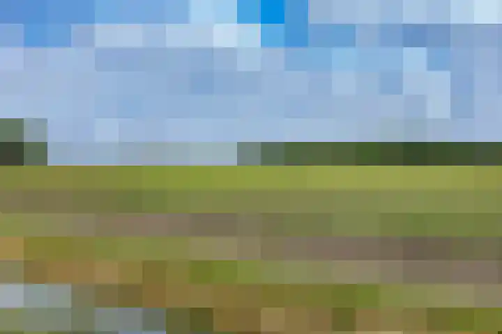 Korte Belkmerweg 23 't Zand thumbnail 28