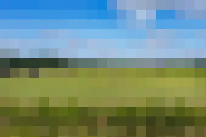 Korte Belkmerweg 23 't Zand thumbnail 29