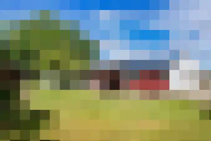 Korte Belkmerweg 23 't Zand foto 3
