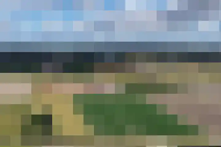 Korte Belkmerweg 23 't Zand thumbnail 30