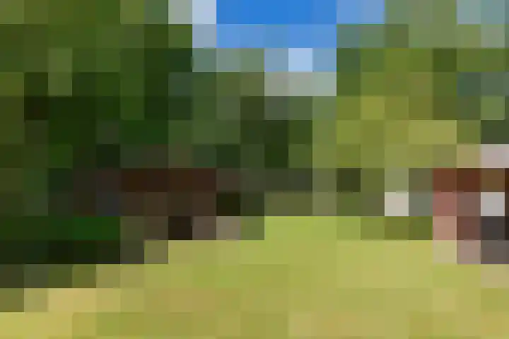 Korte Belkmerweg 23 't Zand thumbnail 4