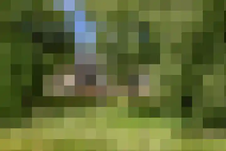 Korte Belkmerweg 23 't Zand thumbnail 5