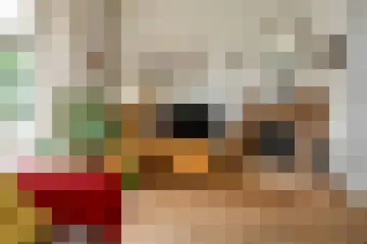 Korte Bemmelseweg 2 Elst thumbnail 14