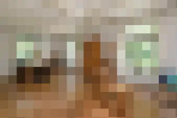 Korte Bemmelseweg 2 Elst thumbnail 16