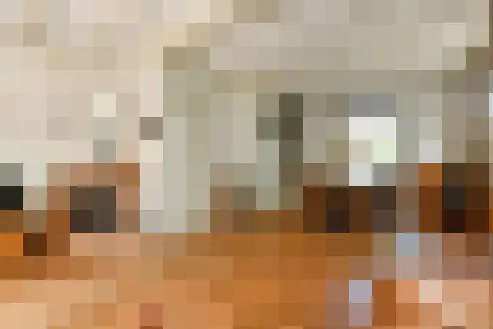 Korte Bemmelseweg 2 Elst thumbnail 17
