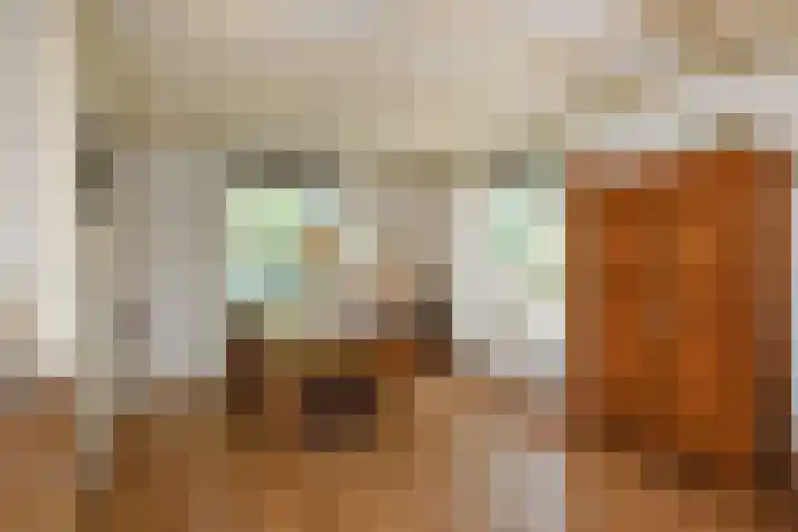 Korte Bemmelseweg 2 Elst thumbnail 18