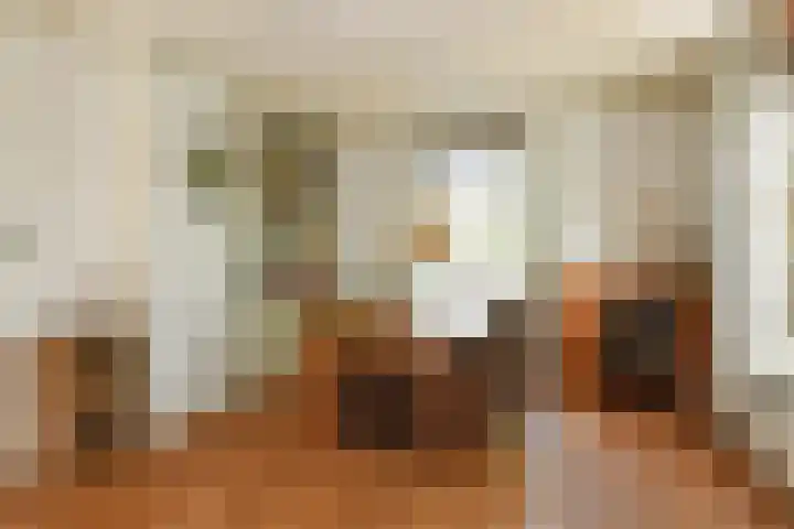 Korte Bemmelseweg 2 Elst thumbnail 19
