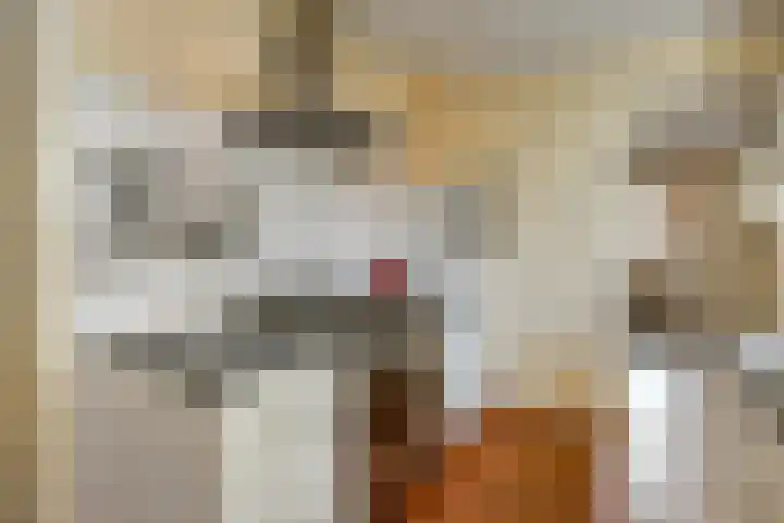 Korte Bemmelseweg 2 Elst thumbnail 25