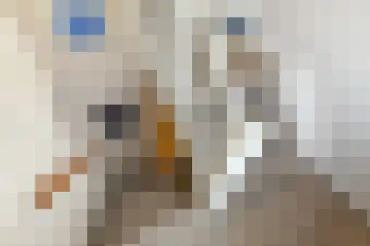 Korte Bemmelseweg 2 Elst thumbnail 27