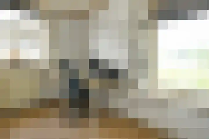 Korte Bemmelseweg 2 Elst thumbnail 34