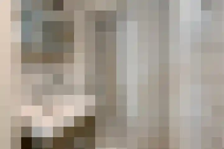 Korte Bemmelseweg 2 Elst thumbnail 35