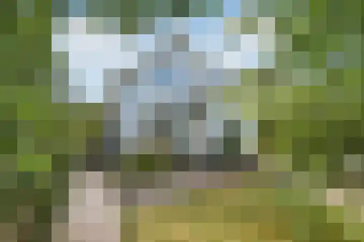 Korte Bemmelseweg 2 Elst thumbnail 36