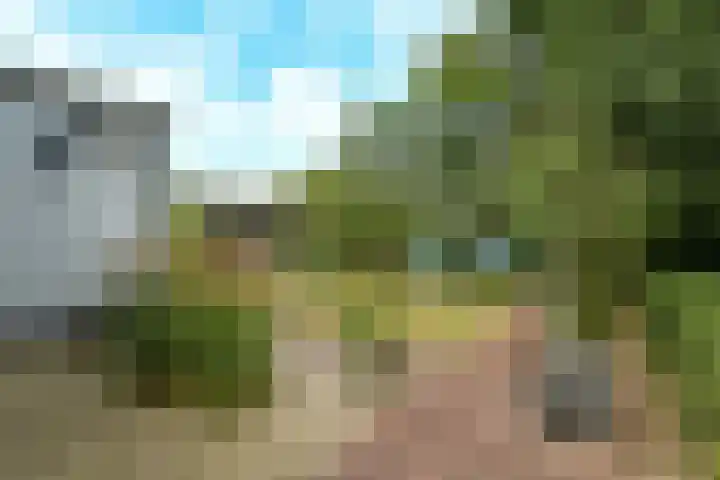 Korte Bemmelseweg 2 Elst thumbnail 37