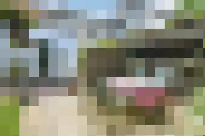 Korte Bemmelseweg 2 Elst thumbnail 39