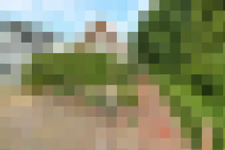 Korte Bemmelseweg 2 Elst thumbnail 4