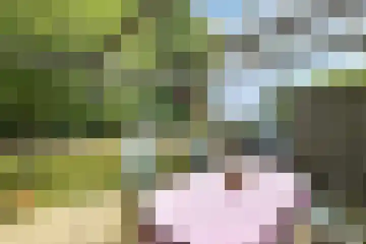 Korte Bemmelseweg 2 Elst thumbnail 40