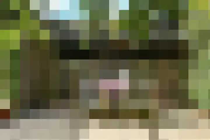 Korte Bemmelseweg 2 Elst thumbnail 41