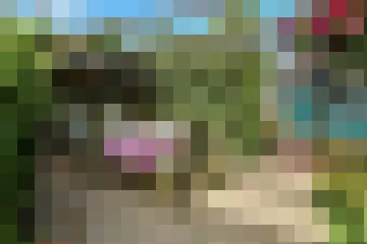 Korte Bemmelseweg 2 Elst thumbnail 42