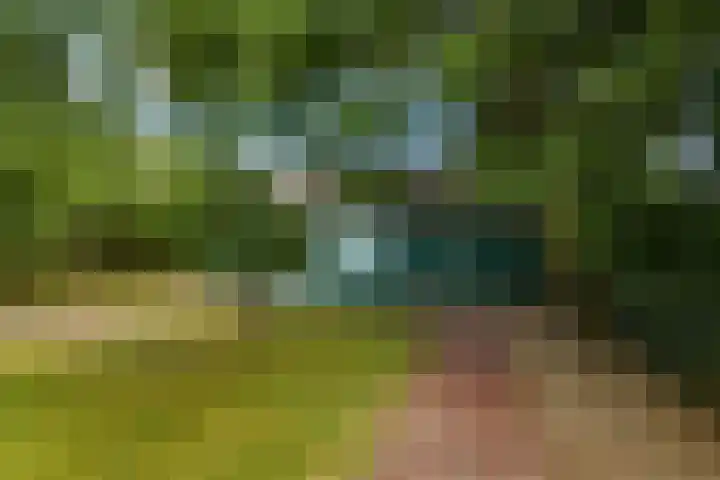 Korte Bemmelseweg 2 Elst thumbnail 44