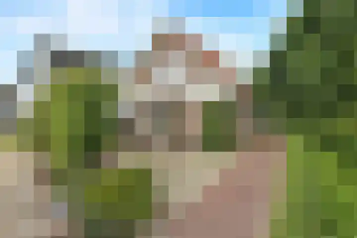 Korte Bemmelseweg 2 Elst thumbnail 45
