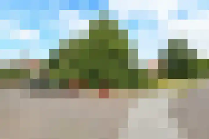 Korte Bemmelseweg 2 Elst thumbnail 46