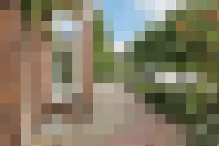 Korte Bemmelseweg 2 Elst thumbnail 6