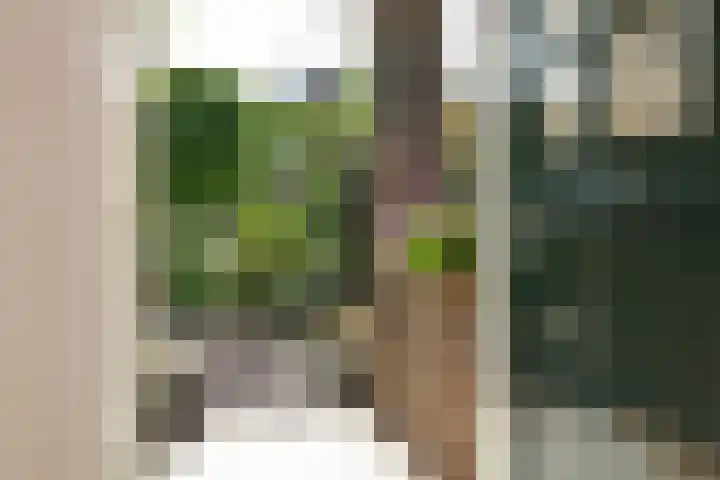 Korte Bemmelseweg 2 Elst thumbnail 9