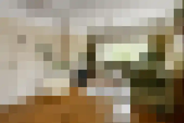 Korte Bemmelseweg 28 Elst thumbnail 10