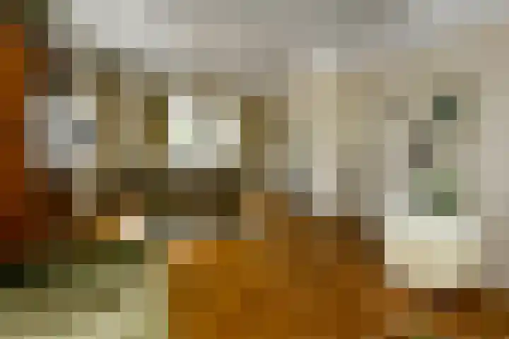Korte Bemmelseweg 28 Elst thumbnail 12