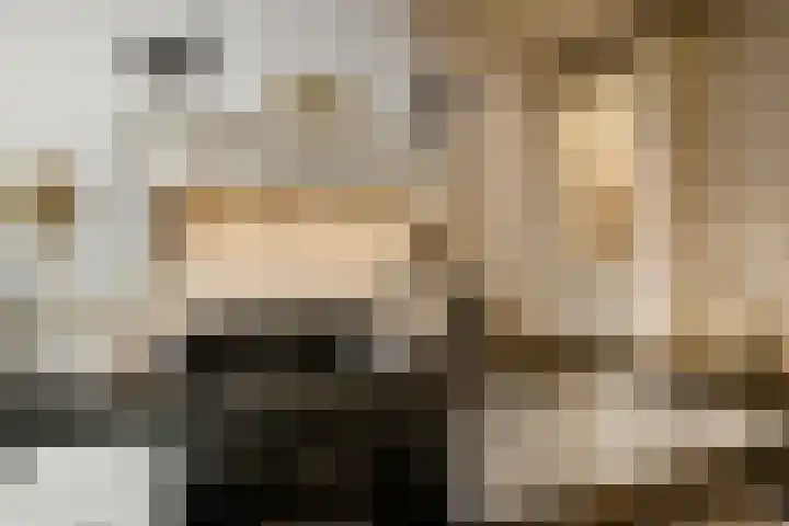 Korte Bemmelseweg 28 Elst thumbnail 17